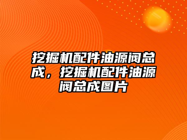 挖掘機配件油源閥總成，挖掘機配件油源閥總成圖片