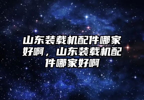 山東裝載機配件哪家好啊，山東裝載機配件哪家好啊