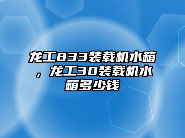 龍工833裝載機水箱，龍工30裝載機水箱多少錢