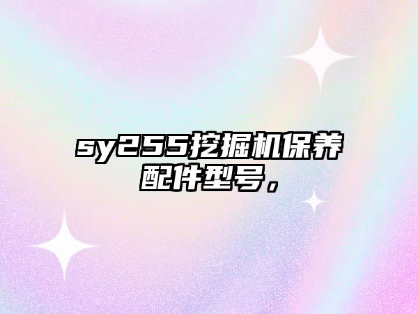 sy255挖掘機保養(yǎng)配件型號，