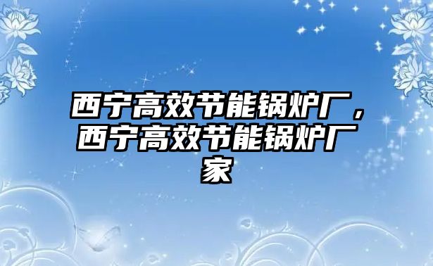 西寧高效節(jié)能鍋爐廠，西寧高效節(jié)能鍋爐廠家