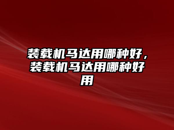 裝載機(jī)馬達(dá)用哪種好，裝載機(jī)馬達(dá)用哪種好用