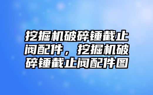 挖掘機(jī)破碎錘截止閥配件，挖掘機(jī)破碎錘截止閥配件圖