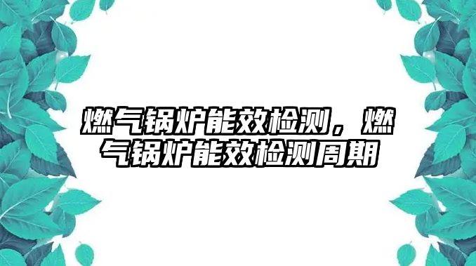 燃?xì)忮仩t能效檢測(cè)，燃?xì)忮仩t能效檢測(cè)周期