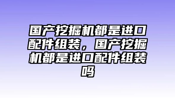 國產(chǎn)挖掘機都是進口配件組裝，國產(chǎn)挖掘機都是進口配件組裝嗎