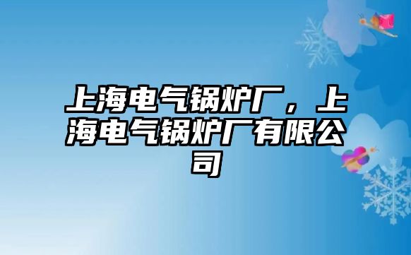 上海電氣鍋爐廠，上海電氣鍋爐廠有限公司