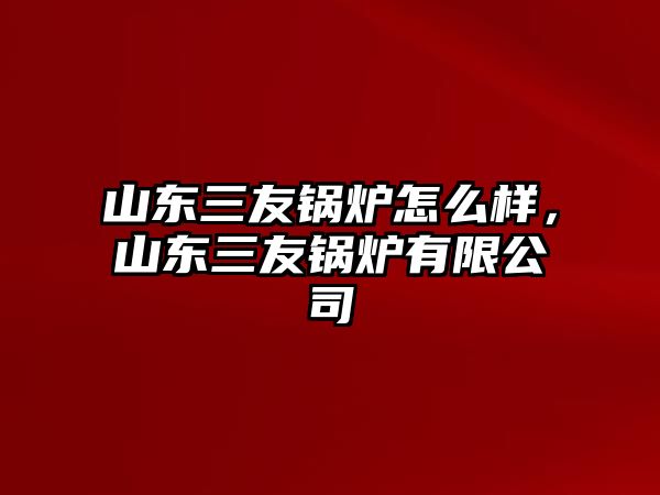 山東三友鍋爐怎么樣，山東三友鍋爐有限公司