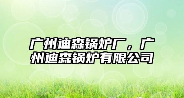 廣州迪森鍋爐廠，廣州迪森鍋爐有限公司