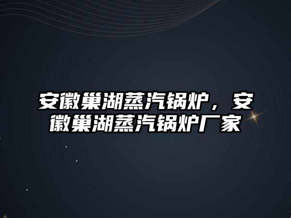 安徽巢湖蒸汽鍋爐，安徽巢湖蒸汽鍋爐廠家