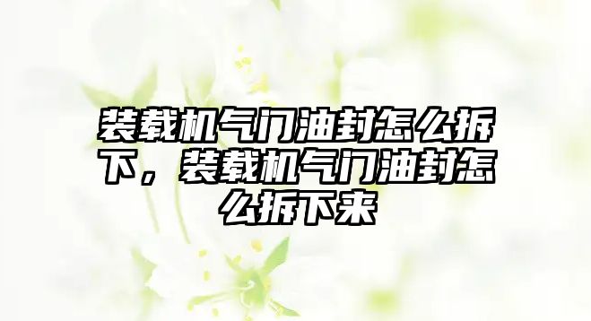 裝載機氣門油封怎么拆下，裝載機氣門油封怎么拆下來