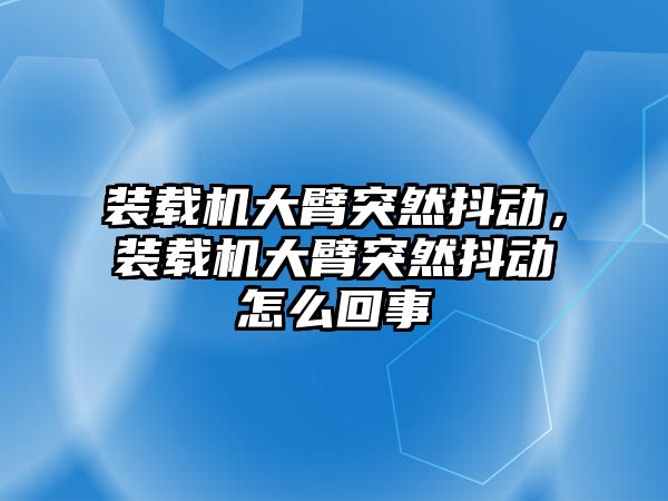 裝載機大臂突然抖動，裝載機大臂突然抖動怎么回事