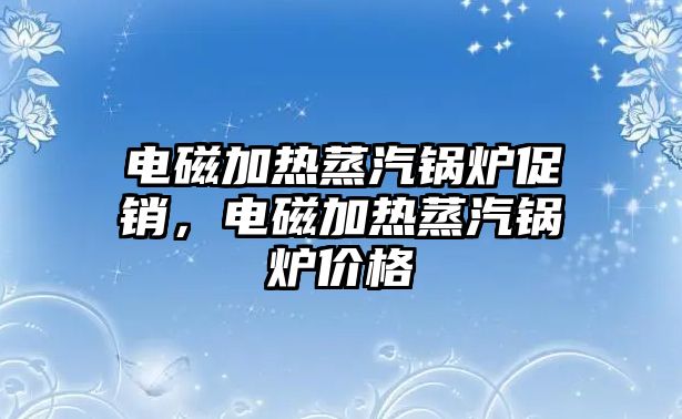 電磁加熱蒸汽鍋爐促銷，電磁加熱蒸汽鍋爐價(jià)格