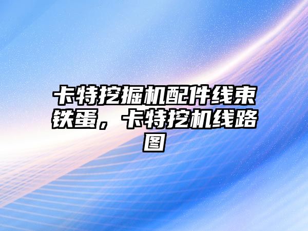 卡特挖掘機配件線束鐵蛋，卡特挖機線路圖