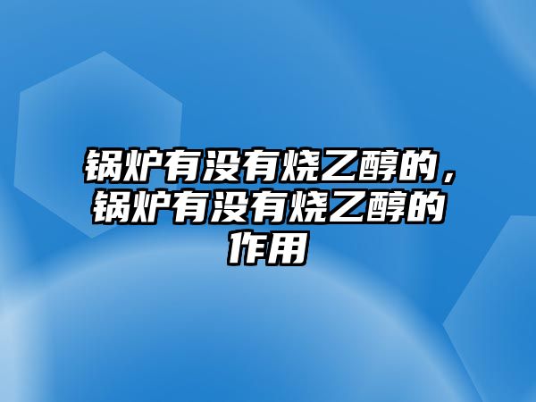 鍋爐有沒有燒乙醇的，鍋爐有沒有燒乙醇的作用