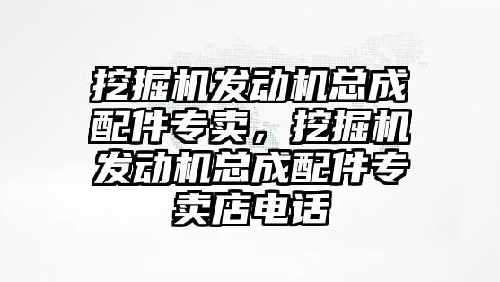 挖掘機(jī)發(fā)動(dòng)機(jī)總成配件專賣，挖掘機(jī)發(fā)動(dòng)機(jī)總成配件專賣店電話