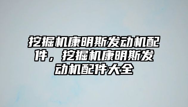 挖掘機康明斯發(fā)動機配件，挖掘機康明斯發(fā)動機配件大全