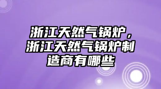 浙江天然氣鍋爐，浙江天然氣鍋爐制造商有哪些