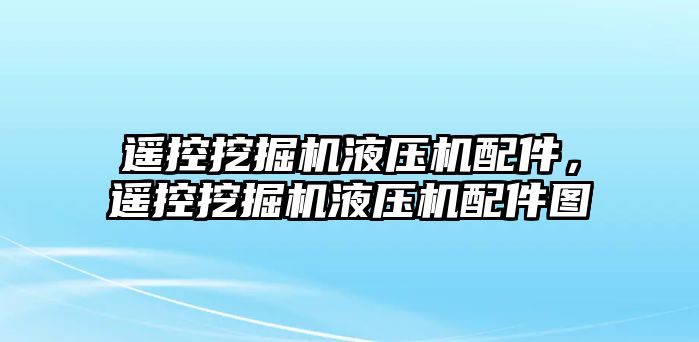 遙控挖掘機液壓機配件，遙控挖掘機液壓機配件圖