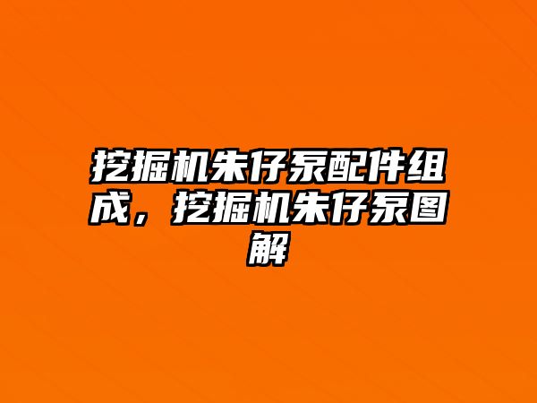 挖掘機朱仔泵配件組成，挖掘機朱仔泵圖解