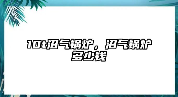 10t沼氣鍋爐，沼氣鍋爐多少錢(qián)