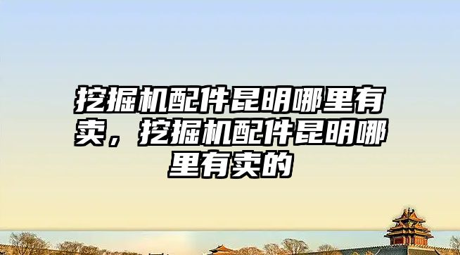 挖掘機配件昆明哪里有賣，挖掘機配件昆明哪里有賣的