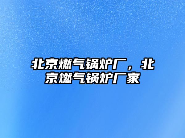 北京燃?xì)忮仩t廠，北京燃?xì)忮仩t廠家