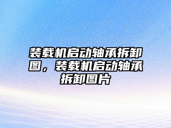 裝載機啟動軸承拆卸圖，裝載機啟動軸承拆卸圖片