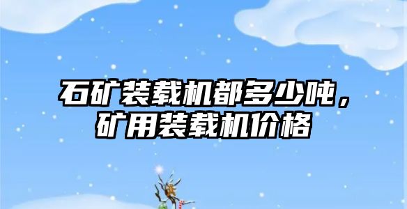 石礦裝載機都多少噸，礦用裝載機價格