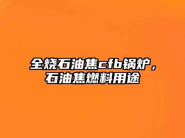 全燒石油焦cfb鍋爐，石油焦燃料用途