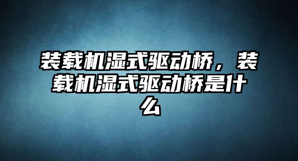 裝載機濕式驅(qū)動橋，裝載機濕式驅(qū)動橋是什么