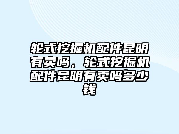 輪式挖掘機配件昆明有賣嗎，輪式挖掘機配件昆明有賣嗎多少錢