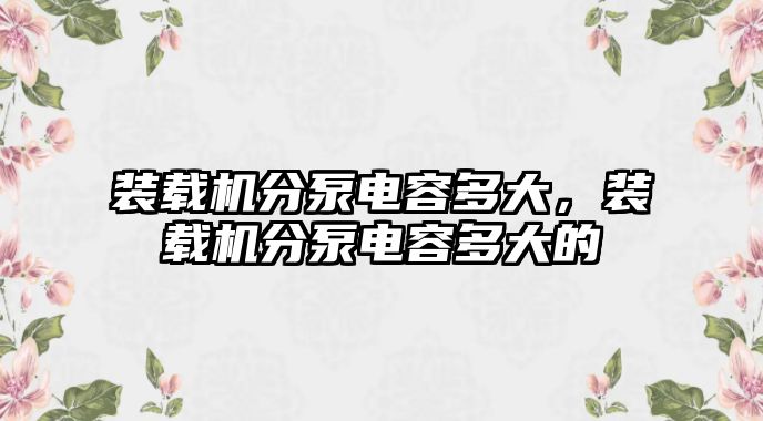 裝載機分泵電容多大，裝載機分泵電容多大的