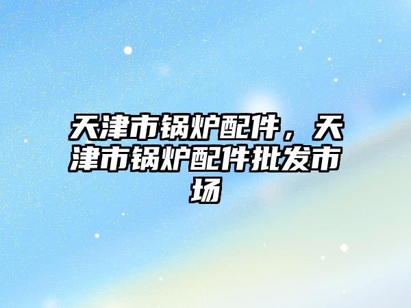 天津市鍋爐配件，天津市鍋爐配件批發(fā)市場