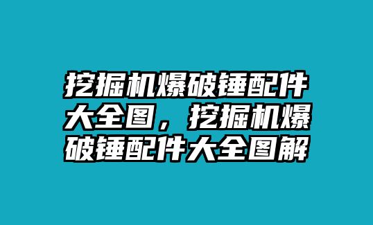 挖掘機(jī)爆破錘配件大全圖，挖掘機(jī)爆破錘配件大全圖解