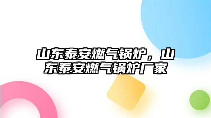 山東泰安燃?xì)忮仩t，山東泰安燃?xì)忮仩t廠家