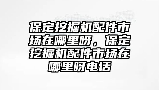 保定挖掘機配件市場在哪里呀，保定挖掘機配件市場在哪里呀電話