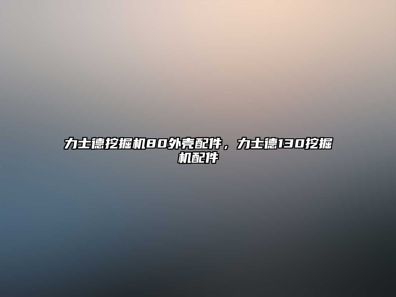 力士德挖掘機(jī)80外殼配件，力士德130挖掘機(jī)配件