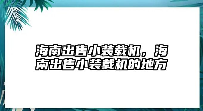 海南出售小裝載機(jī)，海南出售小裝載機(jī)的地方