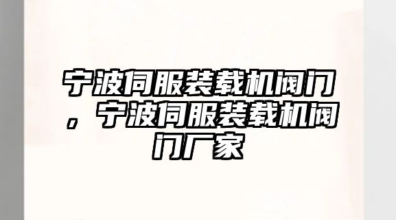 寧波伺服裝載機(jī)閥門，寧波伺服裝載機(jī)閥門廠家