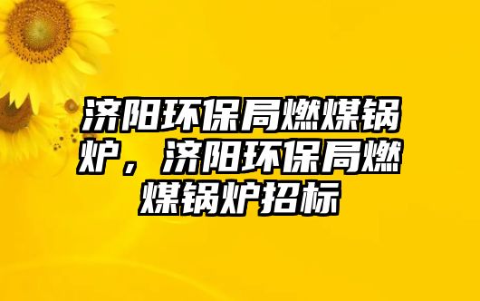 濟(jì)陽環(huán)保局燃煤鍋爐，濟(jì)陽環(huán)保局燃煤鍋爐招標(biāo)