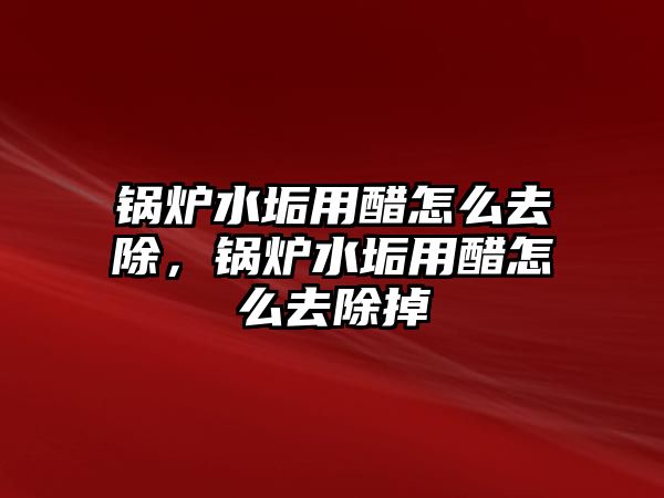 鍋爐水垢用醋怎么去除，鍋爐水垢用醋怎么去除掉