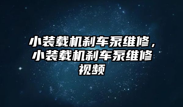 小裝載機(jī)剎車泵維修，小裝載機(jī)剎車泵維修視頻