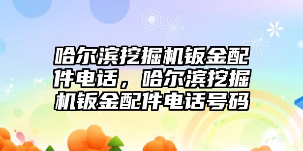 哈爾濱挖掘機鈑金配件電話，哈爾濱挖掘機鈑金配件電話號碼