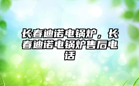 長春迪諾電鍋爐，長春迪諾電鍋爐售后電話