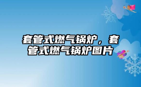 套管式燃氣鍋爐，套管式燃氣鍋爐圖片