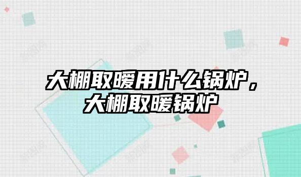 大棚取曖用什么鍋爐，大棚取暖鍋爐