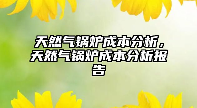 天然氣鍋爐成本分析，天然氣鍋爐成本分析報告