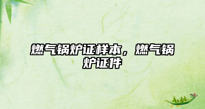 燃?xì)忮仩t證樣本，燃?xì)忮仩t證件