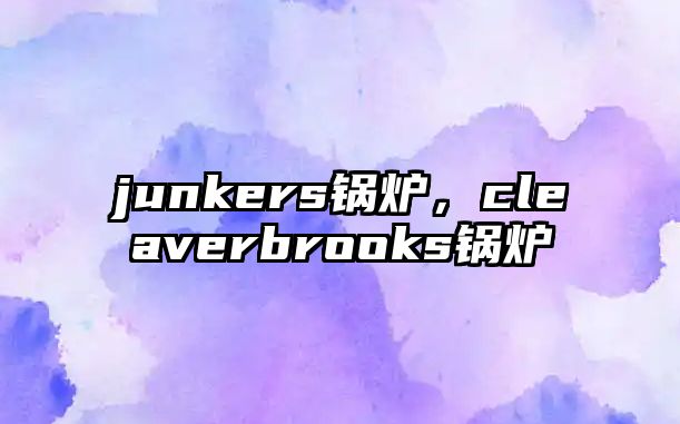 junkers鍋爐，cleaverbrooks鍋爐