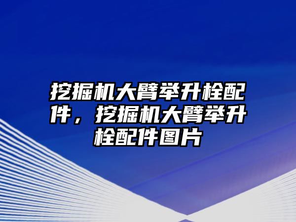 挖掘機(jī)大臂舉升栓配件，挖掘機(jī)大臂舉升栓配件圖片